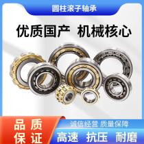 Cylindrical roller bearings NU202 NU203 NU204 NU205 NU206 NU207 NU208 209EM