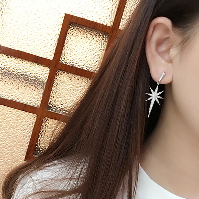 Shining zircon long version drop earrings women's simple and versatile temperament elegant silver needle ear needle fashion earrings accessories earrings