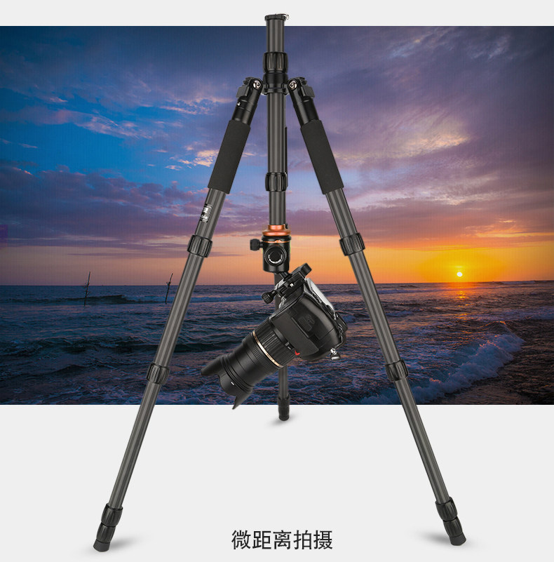 SL398C_11.jpg