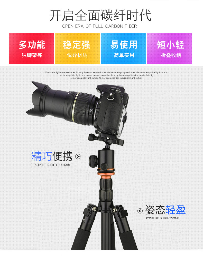 SL398C_02.jpg