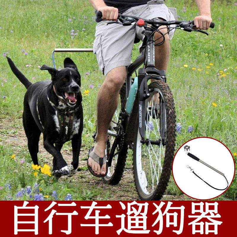 Bicycle Leash Dog Walker Cycling Dog Leash Leash Dog Leash Bike Leash Dog Leash Dog Leash