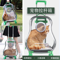 Cat Bag Out Portable Pull Lever Box Space Cabin Kitty Backpack Out Bag Large Capacity Transparent Pet School Bag Supplies