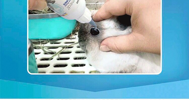Thỏ Tiến sĩ Bo Weidi Thú cưng nhỏ giọt 50ml Thỏ Chinchilla Guinea Lợn Hamster Sạch kháng khuẩn Bảo vệ thị lực - Thuốc nhỏ mắt thuốc nhỏ mắt refresh tear