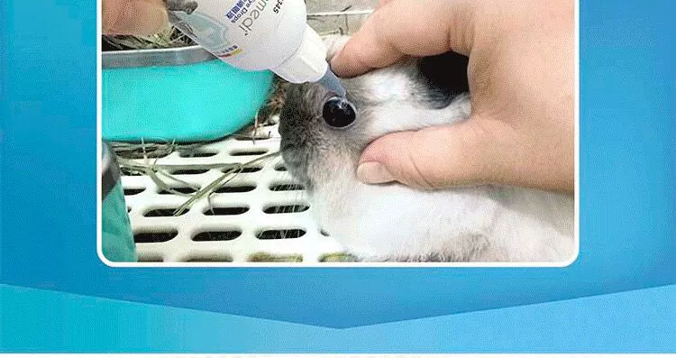 Thỏ Tiến sĩ Bo Weidi Thú cưng nhỏ giọt 50ml Thỏ Chinchilla Guinea Lợn Hamster Sạch kháng khuẩn Bảo vệ thị lực - Thuốc nhỏ mắt