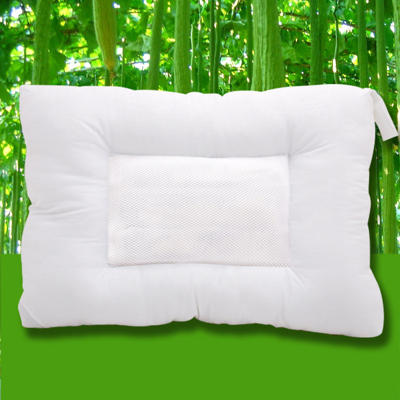 ���������������ͷzx003