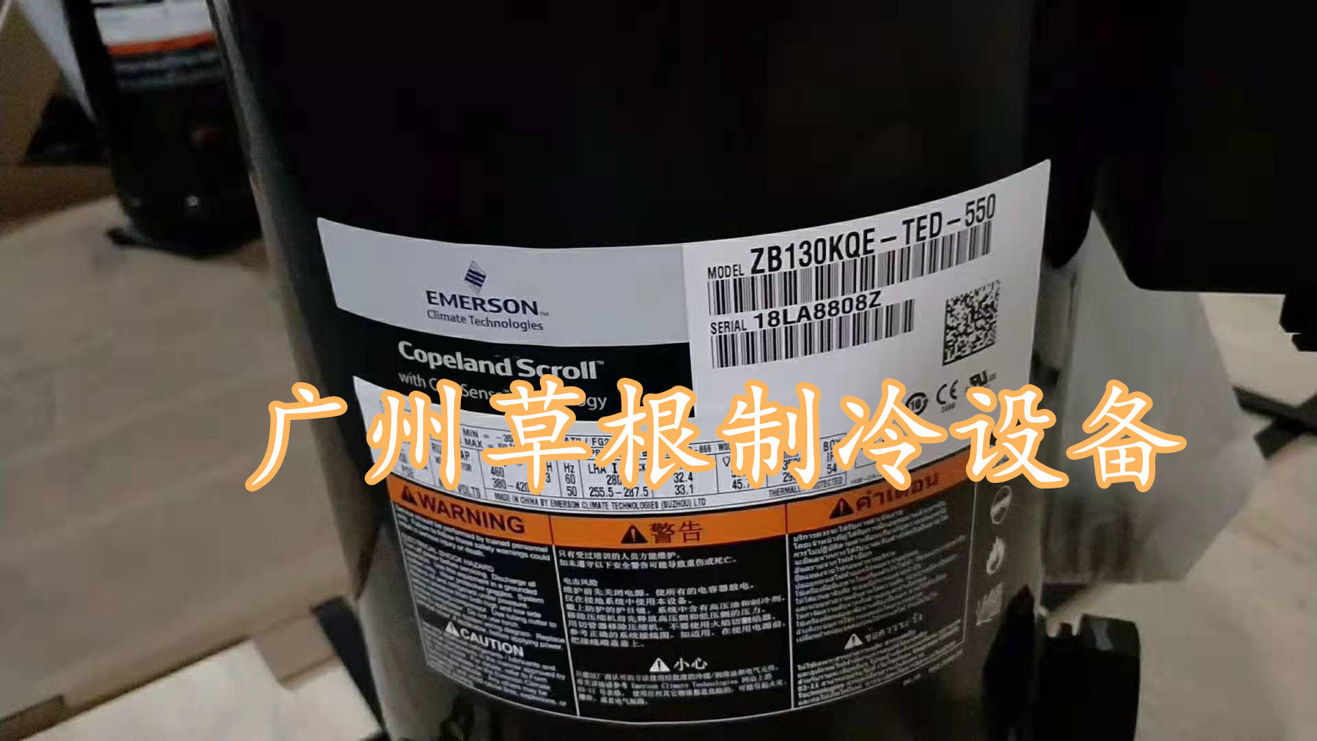 ZB130KQ-TED-550 ZB220KQE-TWD-523 New Grain Wheel Refrigerator Scroll Compressor