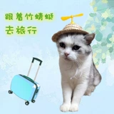 Кошки, собаки, большие, маленькие, маленькие, маленькие, маленькие, маленькие, маленькие, маленькие, маленькие, маленькие, маленькие, маленькие, маленькие и маленькие собачьи соломенные шляпы головные уборы, шляпа, родной город Дракоза Милый фермер выходит в тень и продает милые