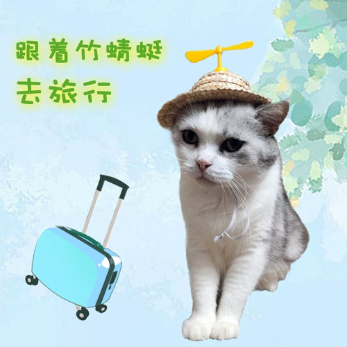 Кошки, собаки, большие, маленькие, маленькие, маленькие, маленькие, маленькие, маленькие, маленькие, маленькие, маленькие, маленькие, маленькие, маленькие и маленькие собачьи соломенные шляпы головные уборы, шляпа, родной город Дракоза Милый фермер выходит в тень и продает милые