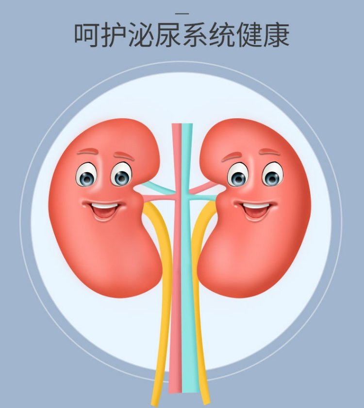 [Mua một tặng một] Berna Tianchun vào thức ăn cho mèo hạt khoai tây không có độ nhạy thấp 1,5kg thức ăn chủ yếu cho mèo - Cat Staples catsrang