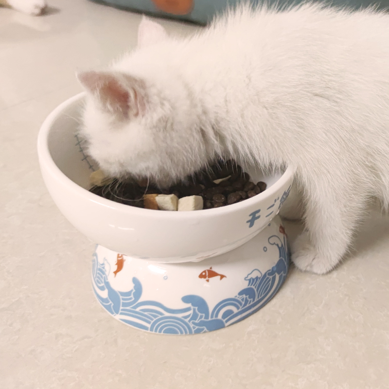 Cat bowl cat food bowl ceramic high foot anti-overturning double bowl protection cervical vertebra rice bowl dog bowl cat drinking water food bowl supplies