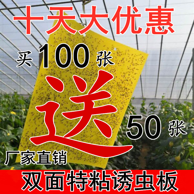 Sticky Insect plate Yellow plate Bait Plate Paper Sticker double sided Sticky Mosquitos Kill Small Flying Insect Needle Bee Thistle Horse Fruit Fly Orchard Greenhouse