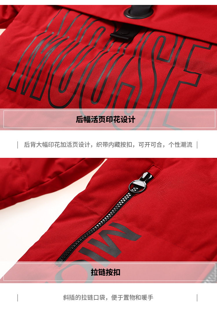 Blouson homme BOSIDENG    en Polyester - Ref 3121463 Image 21