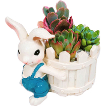 Fleshy flowerpot personality creative cartoon cute little rabbit medium flowerpot animal shape flowerpot kindergarten potted