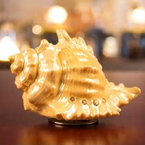 JARLL music box ceramic music box to send girl children birthday gift love whisper conch belt rotation