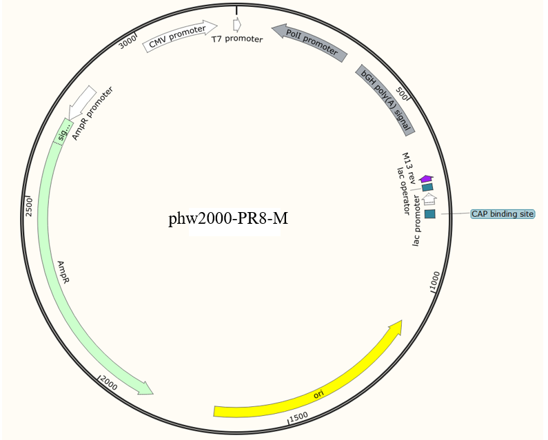 phw2000-PR8-M