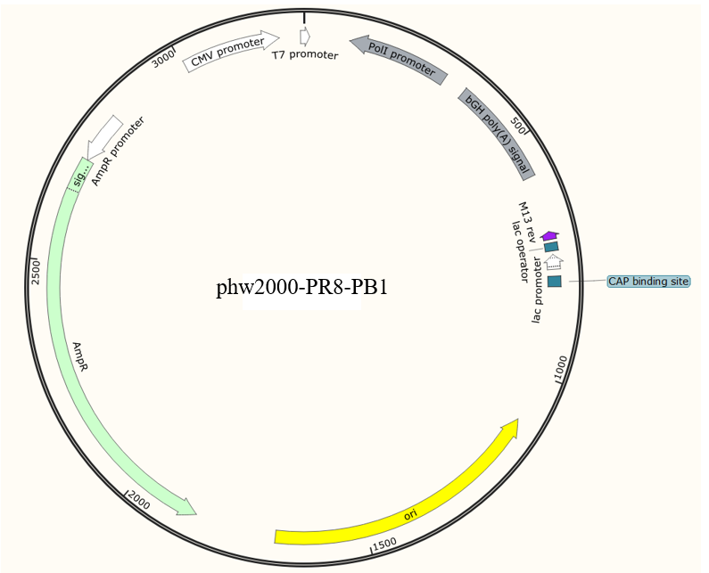 phw2000-PR8-PB1