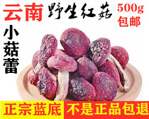 Authentic Yunnan wild blue-bottom red mushroom farm specialty mushroom Shiitake mushroom in the mushroom bud moon mushroom new goods 500g
