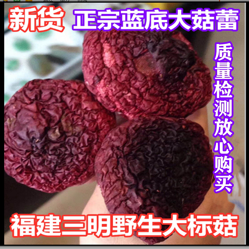 22 New goods Fujian Sanming Wild Authentic Blue Bottom Large Red Mushrooms Red Vertebral Mushrooms Red Mushrooms Red Mushrooms 500g Tgrade