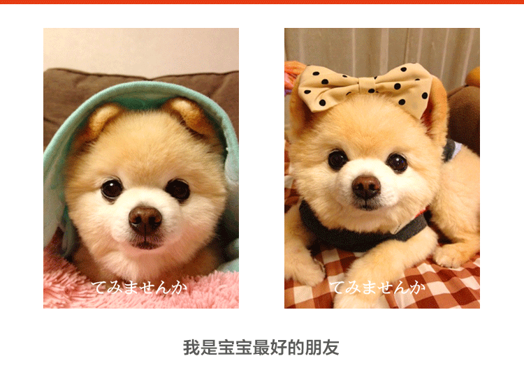 仿真狗狗毛絨玩具鈴鐺狗俊介犬趴趴狗博美公仔抱枕兒童生日禮物 露天拍賣