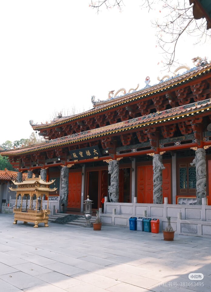 云水莲心