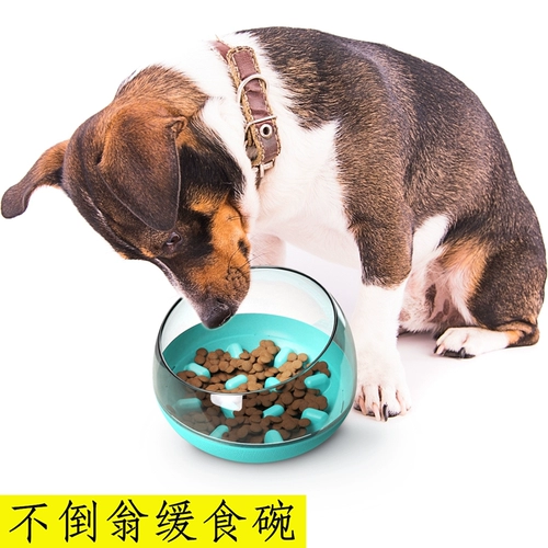 Собачья чаша анти -перевернутая неверная миска, размер чаши, чаша для ухода за собаками, сетка красная кошка с кошачьим горшком с красной собакой.