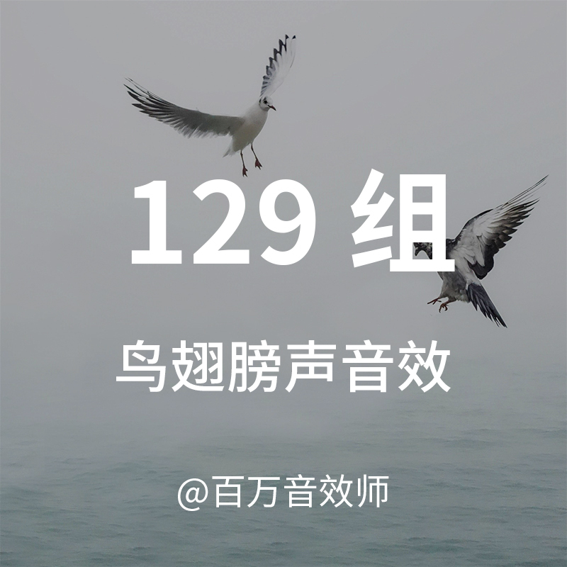 The Sound of Various Birds Flapping Their Wings, the Sound of a Single Wing Flapping, the Sound of a Large Flock of Birds Taking Off, and the Sound of a Few Birds Chirping