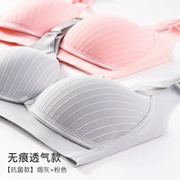 [Нет трассировки] серой+розовый