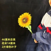 Новая одиночная голова имеет высоту 46 см