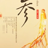 仲景 Гинзэн Шенгшенгенг Гинзэн на протяжении всего 2 китайских материалов китайский медицина Чжан Чжунцзин да фармацевтический дом одинаковые параграфы