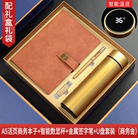 Brown A5 Lose-Leaf Book + 2 U Диск + Круглая ручка + Золотая цифровая диплом чашка B B B