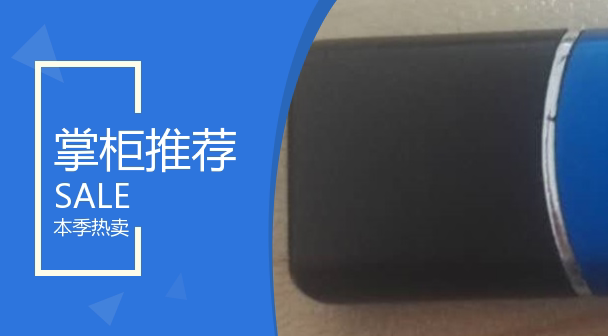 Audit Master-Financial Audit Edition dongle USB interface (see instructions for details)