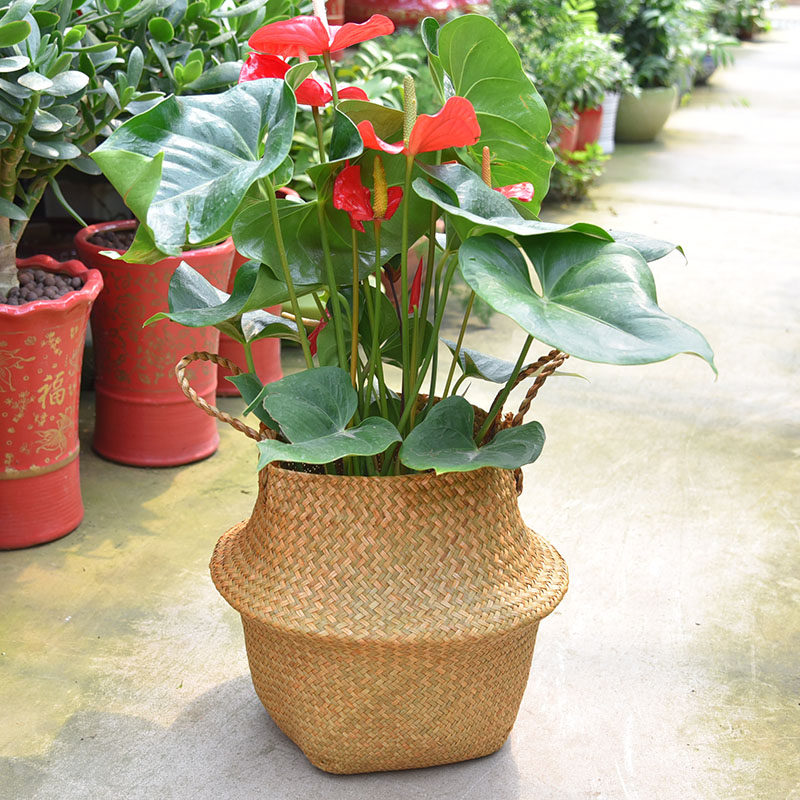 Nordic straw choreography large flower pot braiding flower pots basket woven bamboo basket living-room floor flower basket with bamboo-woven flower pots