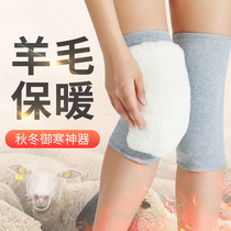 Wool knee pads four seasons warm knee pads extended thickened velvet men and women in the elderly autumn and winter paint cover