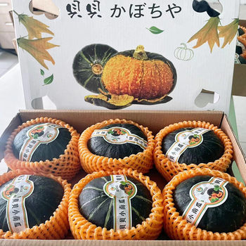 Beibei pumpkin chestnut flavor gift box 5-6 sweet and glutinous pieces