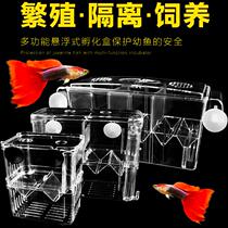 Fish tank isolation box guppy hatching box tropical fish small fish juvenile breeding box extra large spawning room independent