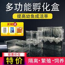 Guppy breeding isolation box incubation box acrylic suspended tropical fish betta anchovy seedling spawning box