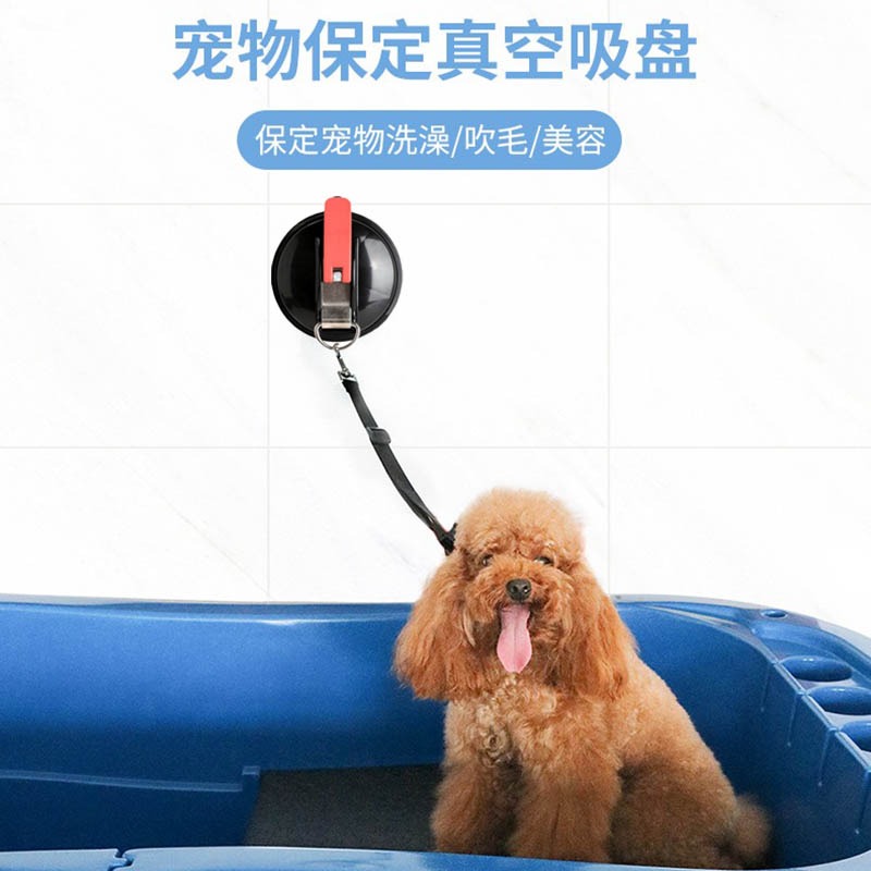 Pooch Bath Fixer Pet Haircut Sucker Kitty Cat Bathing Fixed Rope Beauty Desk Rope Wire Rope Dog Pile-Taobao