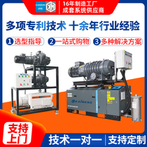 Industrial vacuum pump Roots vacuum pump vacuum unit high vacuum laboratory for chemical industry vacuum coating