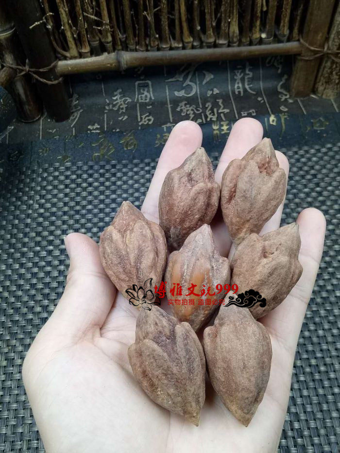 进口印尼大橄榄核 异形核 怪核 怪异核 红核 原料 原核 原籽 长核
