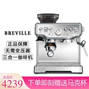 Máy pha cà phê 3 trong 1 của Úc Breville Máy pha cà phê gia đình Ý bán tự động bạch kim BES870 - Máy pha cà phê