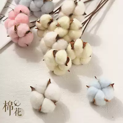 Photo props ins Natural Pastoral Country Cotton Dry Flower with Rod White Color Photography Props Background Ornaments Gourmet Bake Cosmetics Clothing Photography Business Scene Props