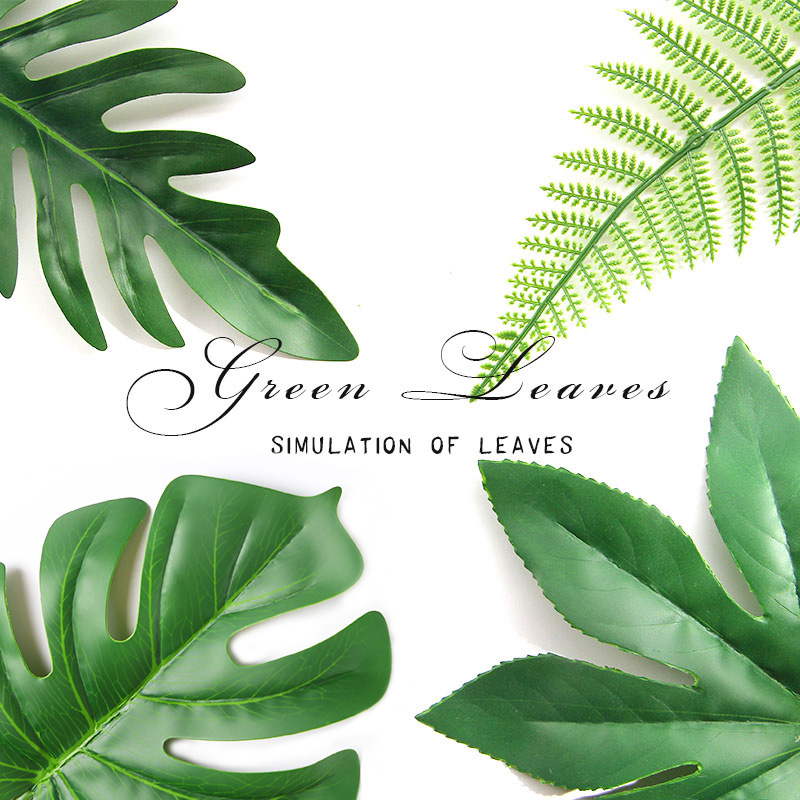 ins photo props simulation leaves Nordic shooting background Ornament plant foliage tortoise back leaf Coconut Tree Leaves Green Plant Pine leaf spring Rain leaves Eugalie leaf