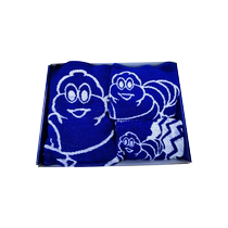 MICHELIN bath towel set