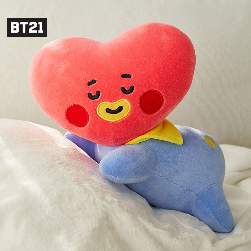 bt21 mini pillow