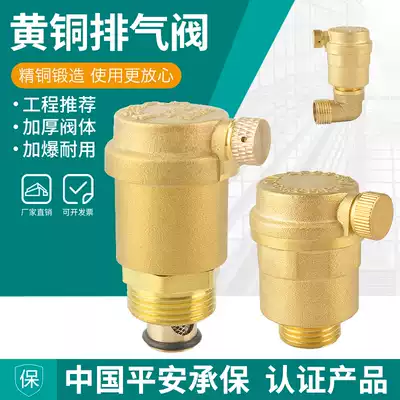 Automatic exhaust valve Heating vent valve Household brass water pipe air conditioning vent valve 4 points 6 points 1 inch