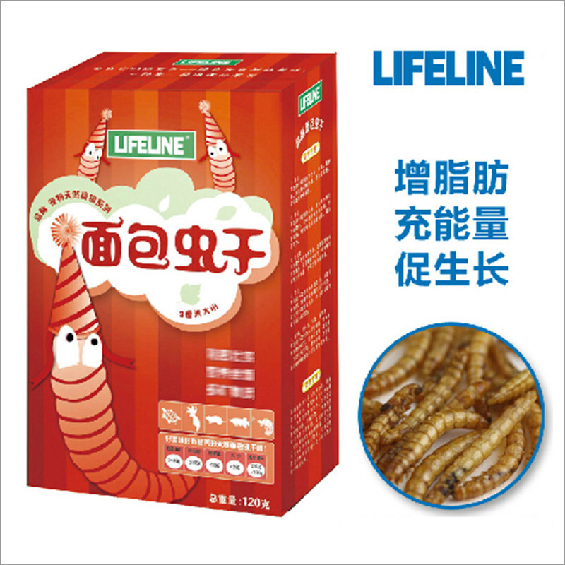 Lifeblood bread worm dry water tortoise Half Water Turtle lizard Lizard Hamster Chameleon can be eaten