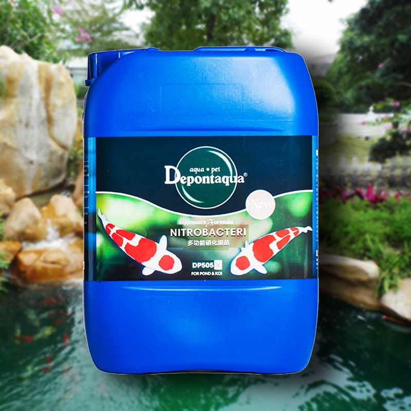 Depontaqua Debon Condensed Nitrobacteria Brocade Carp Pond Water Purification Decomposition Fish Manure Clear Water Quality 5L