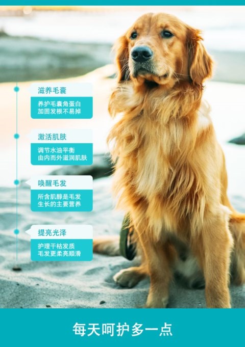 Wei Shi Lecithin 220g chó ăn bột rong biển lông sáng lông Teddy Golden Retriever mèo với phospholipid siêu mềm - Cat / Dog Health bổ sung sữa cho chó mèo sơ sinh