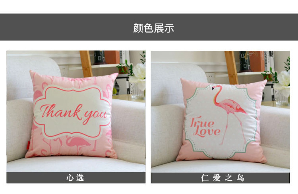Flamingo đệm gối ins phòng khách Gió sofa đệm hai mặt đệm gối vuông với vận chuyển văn phòng lõi tựa lưng - Trở lại đệm / Bolsters gối để ghế sofa