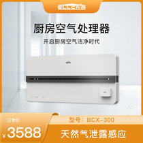 BLLC Brown New Air Kitchen Oil Smoke Air Processor Except Oodor Refuel Smoke Except Formaldehyde BCX-300